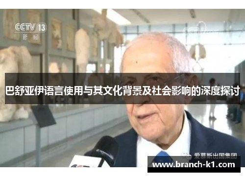 巴舒亚伊语言使用与其文化背景及社会影响的深度探讨