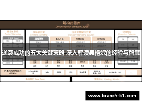 逆袭成功的五大关键策略 深入解读吴艳妮的经验与智慧