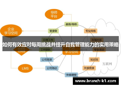 如何有效应对每周挑战并提升自我管理能力的实用策略
