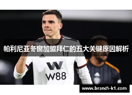 帕利尼亚冬窗加盟拜仁的五大关键原因解析