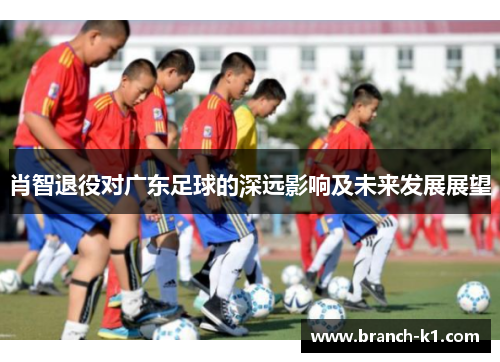 肖智退役对广东足球的深远影响及未来发展展望